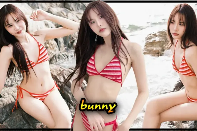 bunny 31